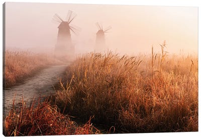 Morning Mist Canvas Art Print