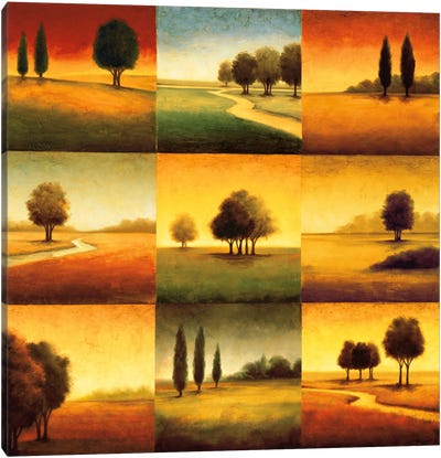 Landscape Perspectives Canvas Art Print
