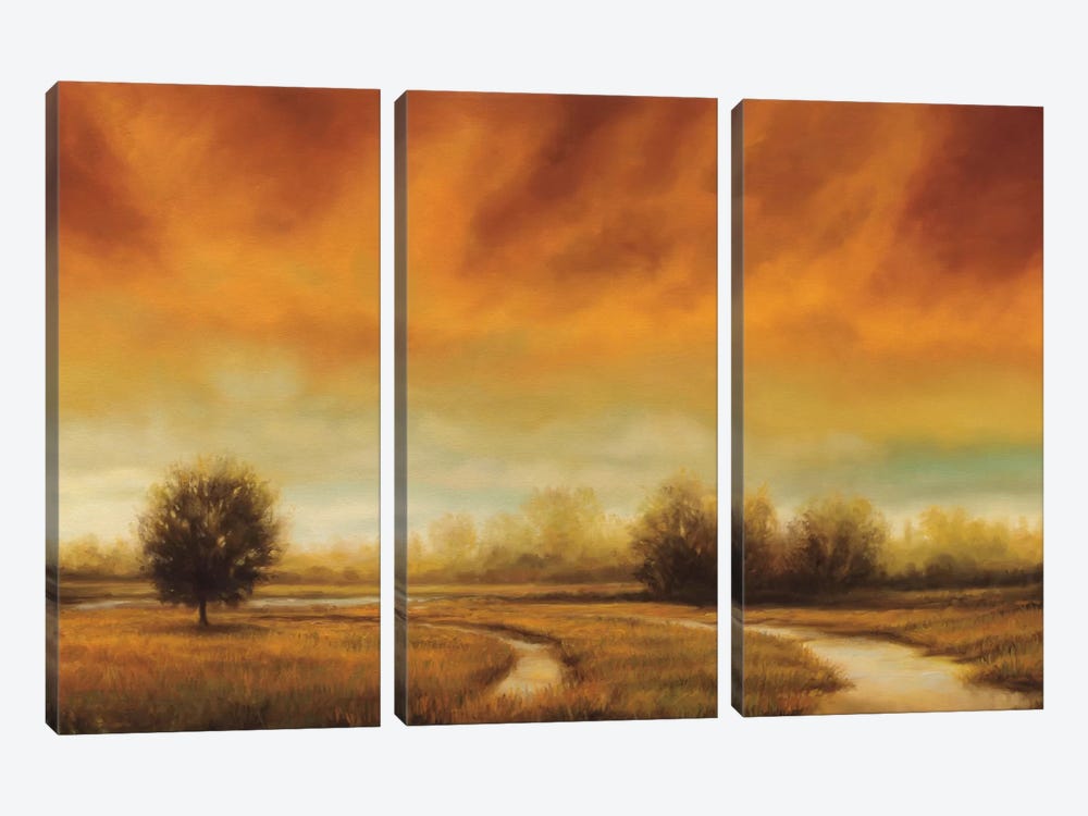 Moment To Moment by Gregory Williams 3-piece Canvas Art