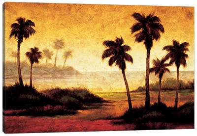 Sunset Palms II Canvas Art Print