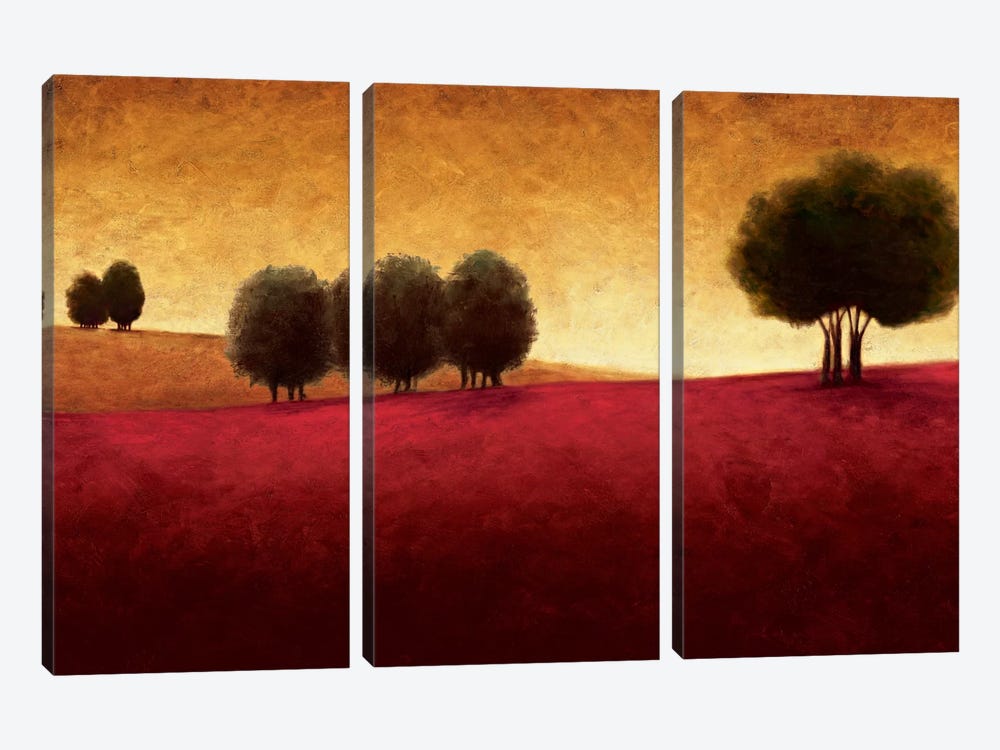 Transcendence by Gregory Williams 3-piece Canvas Artwork