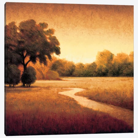 Early Morning I Canvas Print #GWI7} by Gregory Williams Art Print