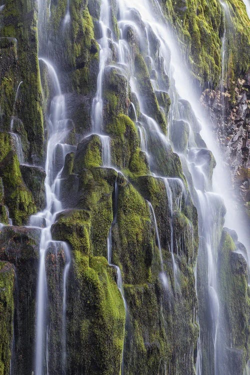 USA, Oregon, Three Sisters Wilderness Area. Lower Proxy Falls.