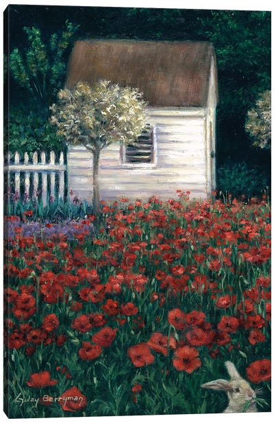 Easter Poppies (Williamsburg, Virginia) Canvas Art Print - Gulay Berryman