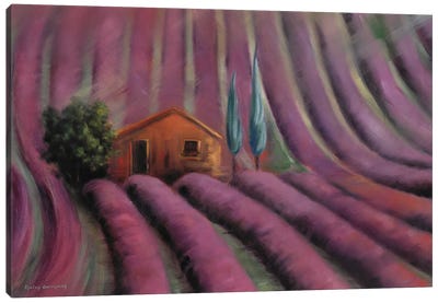 Lavender Fields Canvas Art Print - Gulay Berryman