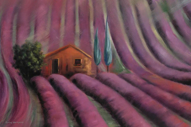 Lavender Fields