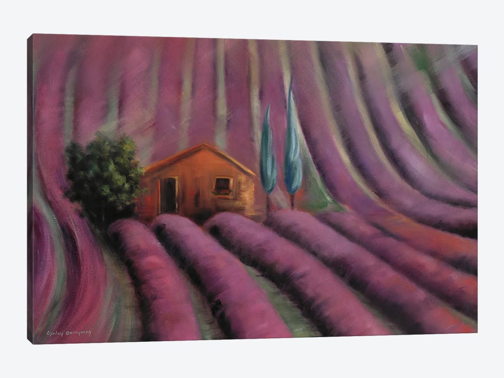 Lavender Fields by Gulay Berryman 1-piece Canvas Art Print