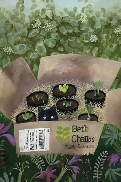 Black Cats: Next Day Delivery by Gertie Young