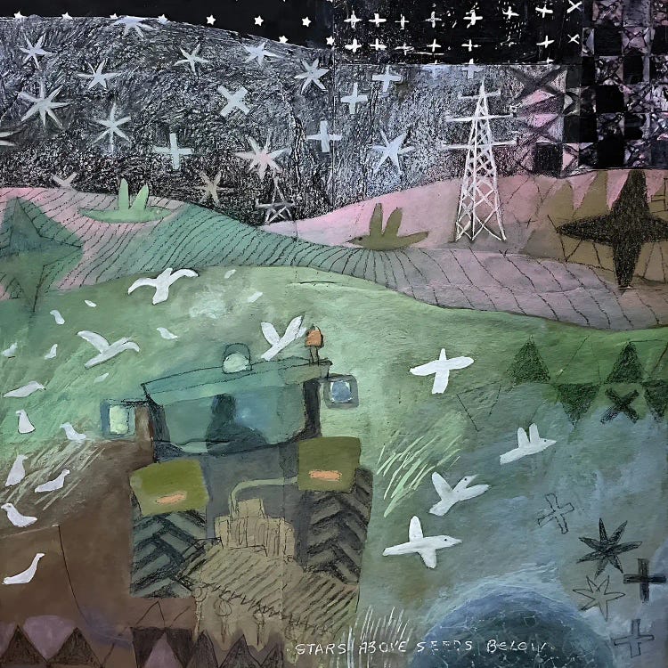Stars Above Seeds Below