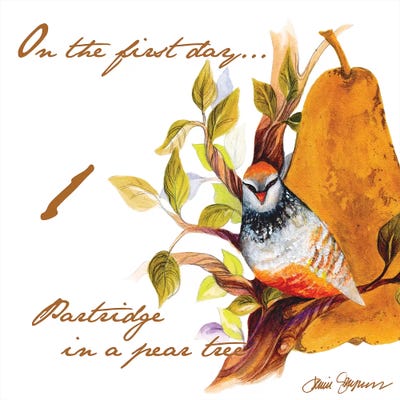 Partrige in a Pear Tree by Janice Gaynor framed canvas print