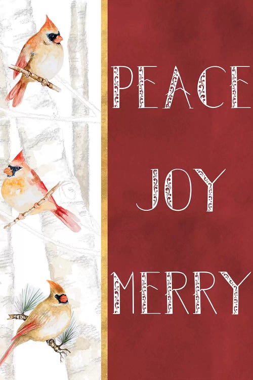 Peace Joy Merry by Janice Gaynor wall art