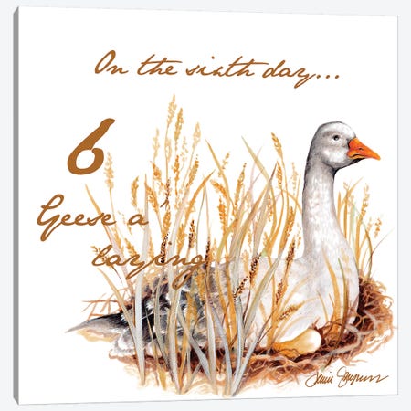 Six Geese a-Laying Canvas Print #GYN22} by Janice Gaynor Canvas Art