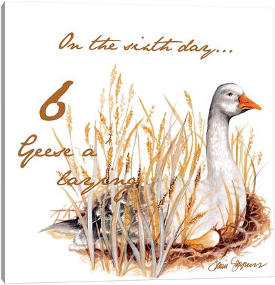 Six Geese a-Laying Canvas Art Print