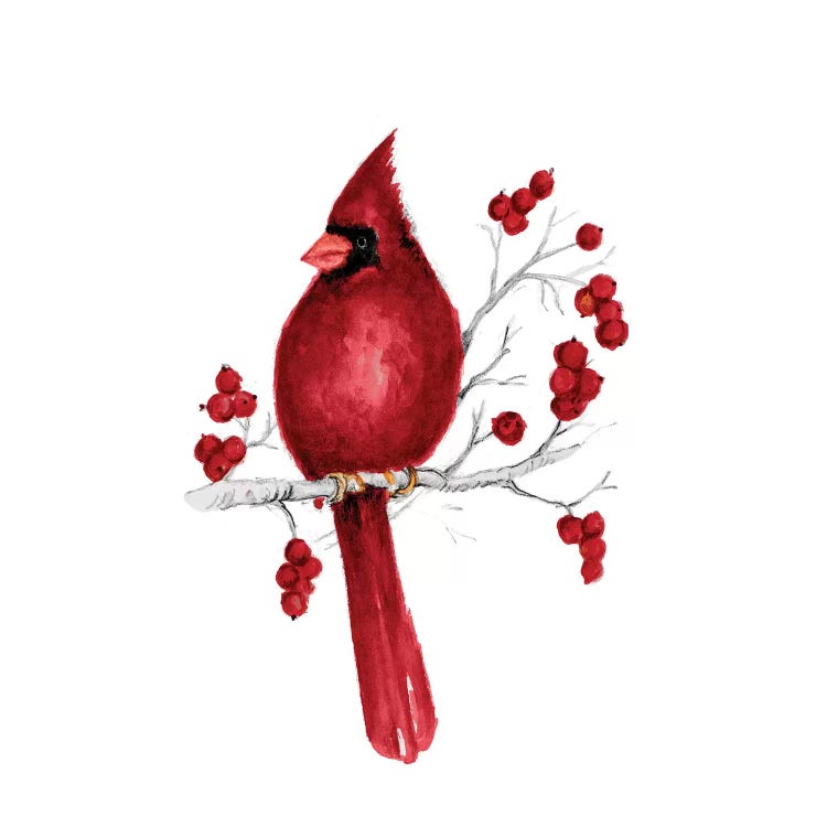Winter Cardinal In Red II