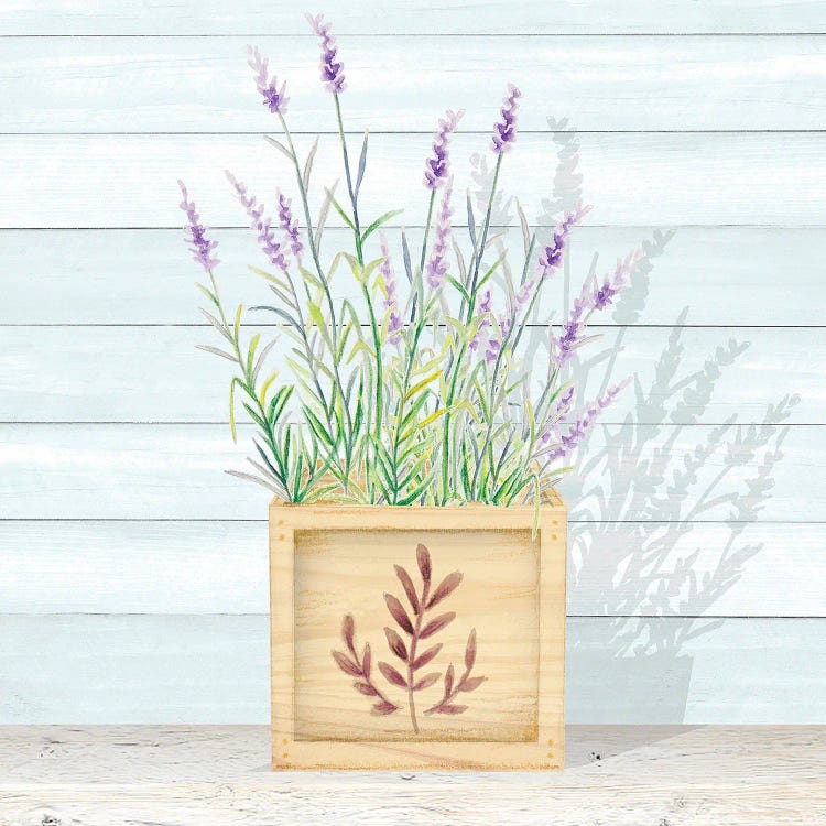 Lavender and Wood Square I