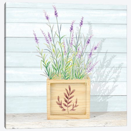Lavender and Wood Square I Canvas Print #GYN47} by Janice Gaynor Canvas Print