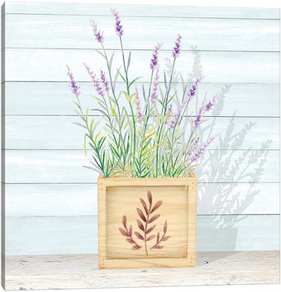 Lavender and Wood Square I Canvas Art Print