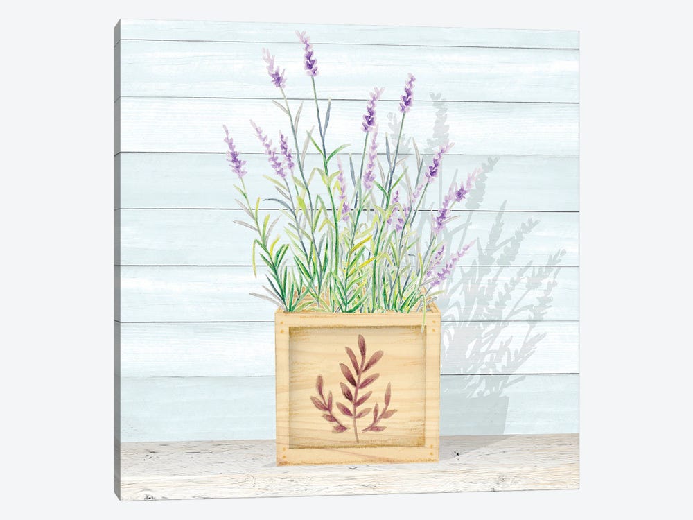Lavender and Wood Square I by Janice Gaynor 1-piece Canvas Wall Art
