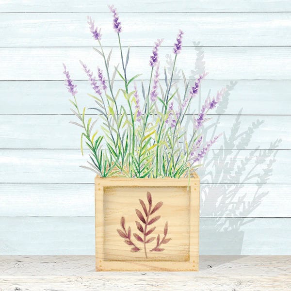 Herbs: Lavender and Wood Square I by Janice Gaynor