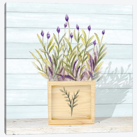 Lavender and Wood Square II Canvas Print #GYN48} by Janice Gaynor Canvas Artwork