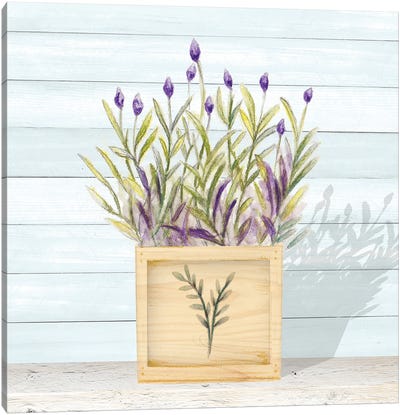 Lavender and Wood Square II Canvas Art Print