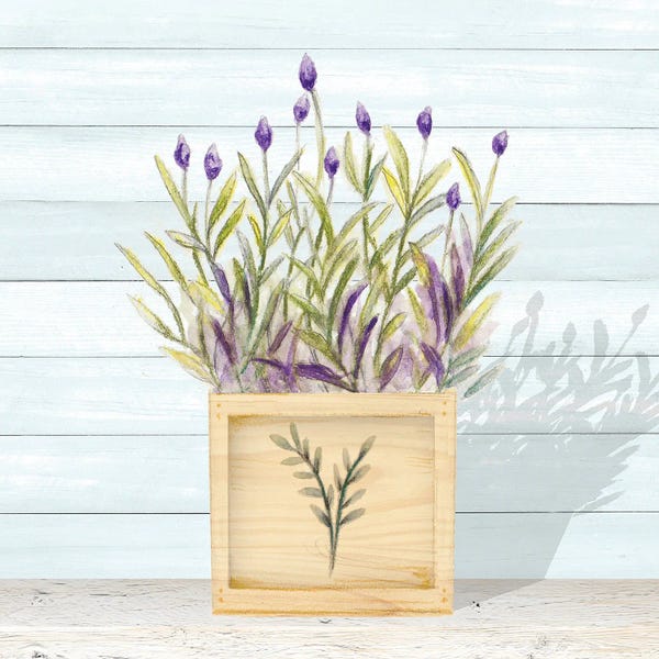 Herbs: Lavender and Wood Square II by Janice Gaynor