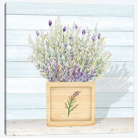 Lavender and Wood Square III Canvas Print #GYN49} by Janice Gaynor Canvas Art