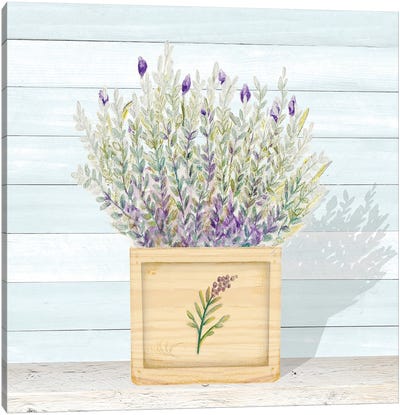 Lavender and Wood Square III Canvas Art Print - Lavender Art