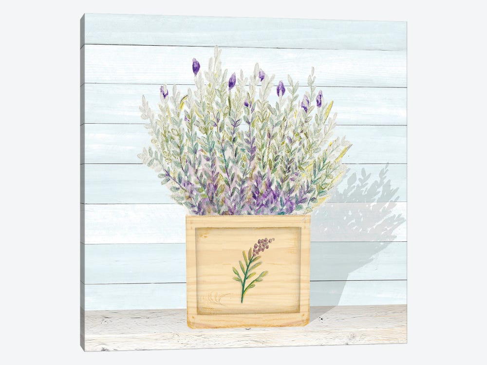 Lavender and Wood Square III by Janice Gaynor 1-piece Canvas Art