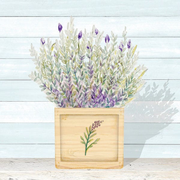 Herbs: Lavender and Wood Square III by Janice Gaynor