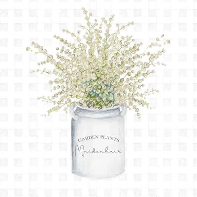 Garden Plants II by Janice Gaynor framed canvas print