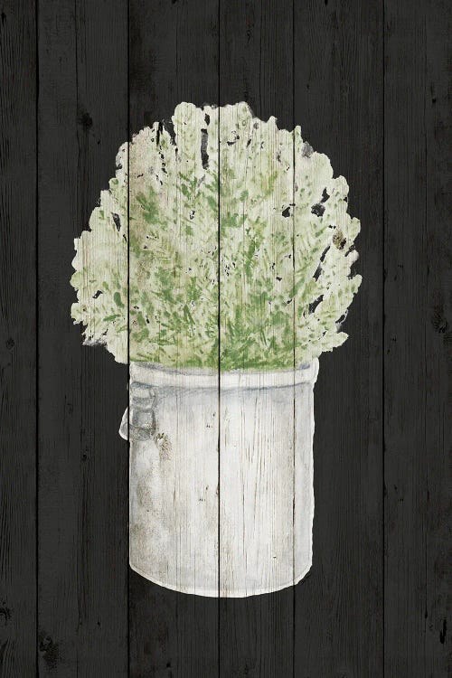 Herbs on Black Wood II by Janice Gaynor wall art