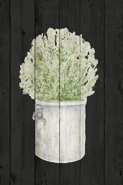 Herbs on Black Wood II
