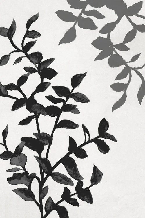 Botanical In Noir II by Janice Gaynor wall art