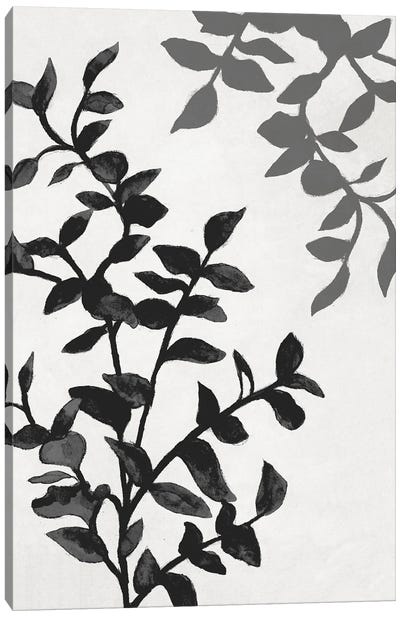 Botanical In Noir II Canvas Art Print