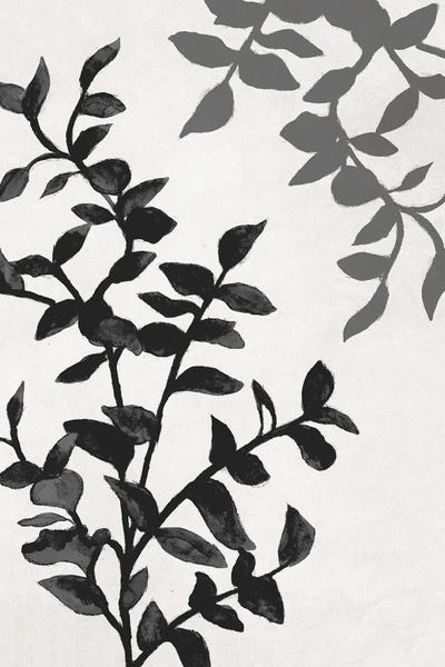 Black & White Florals: Botanical In Noir II by Janice Gaynor