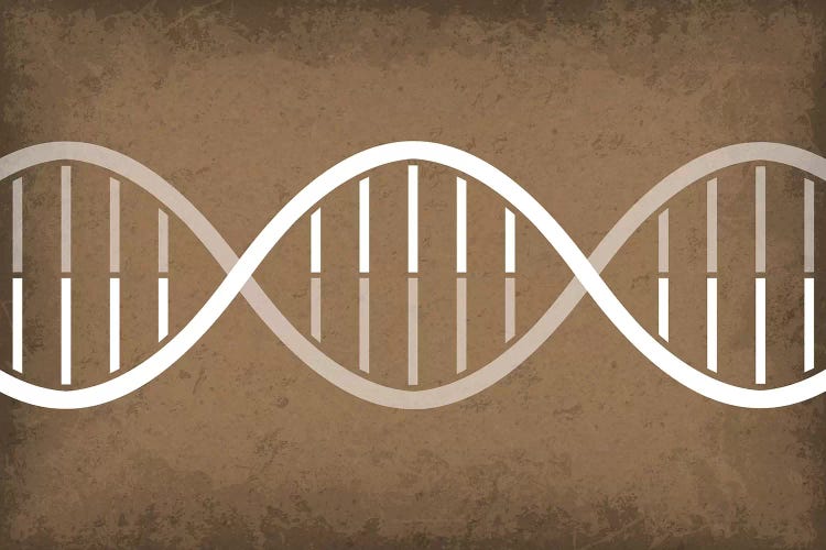 DNA Strand