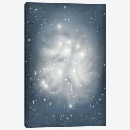 Pleiades Star Cluster Illustration Canvas Print #GYO131} by GetYourNerdOn Canvas Artwork