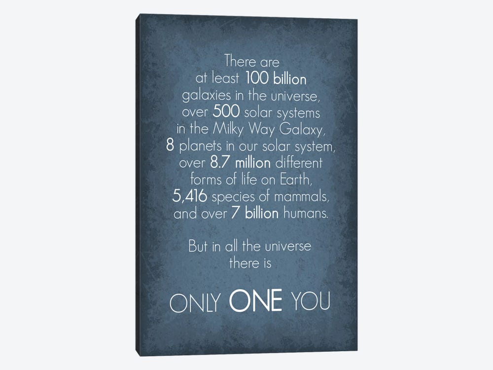 There Is Only One You by GetYourNerdOn 1-piece Canvas Art Print