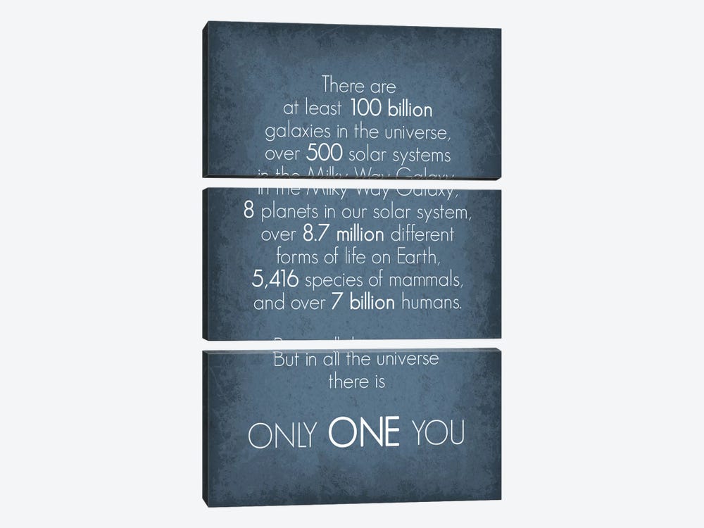 There Is Only One You by GetYourNerdOn 3-piece Canvas Print