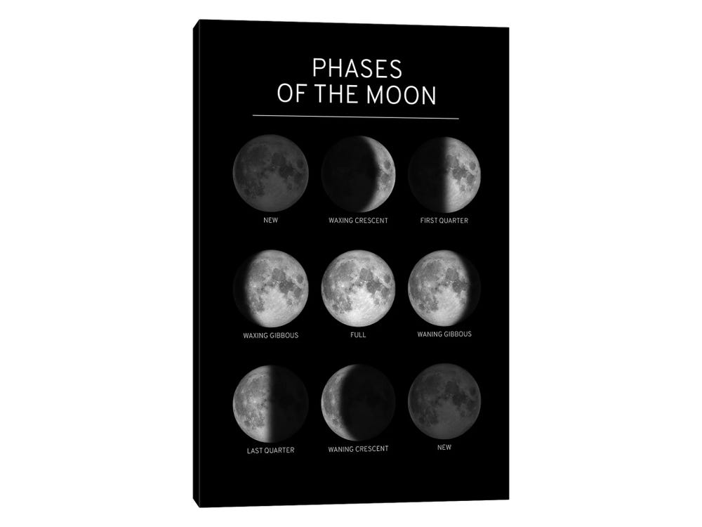 Phases of the Moon Chart - Black Art Print by GetYourNerdOn