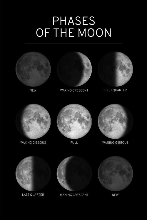 Phases of the Moon Chart - Black by GetYourNerdOn wall art