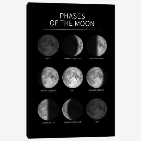 Phases of the Moon Chart - Black Canvas Print #GYO147} by GetYourNerdOn Canvas Wall Art