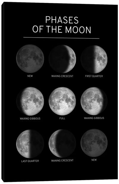 Phases of the Moon Chart - Black Canvas Art Print