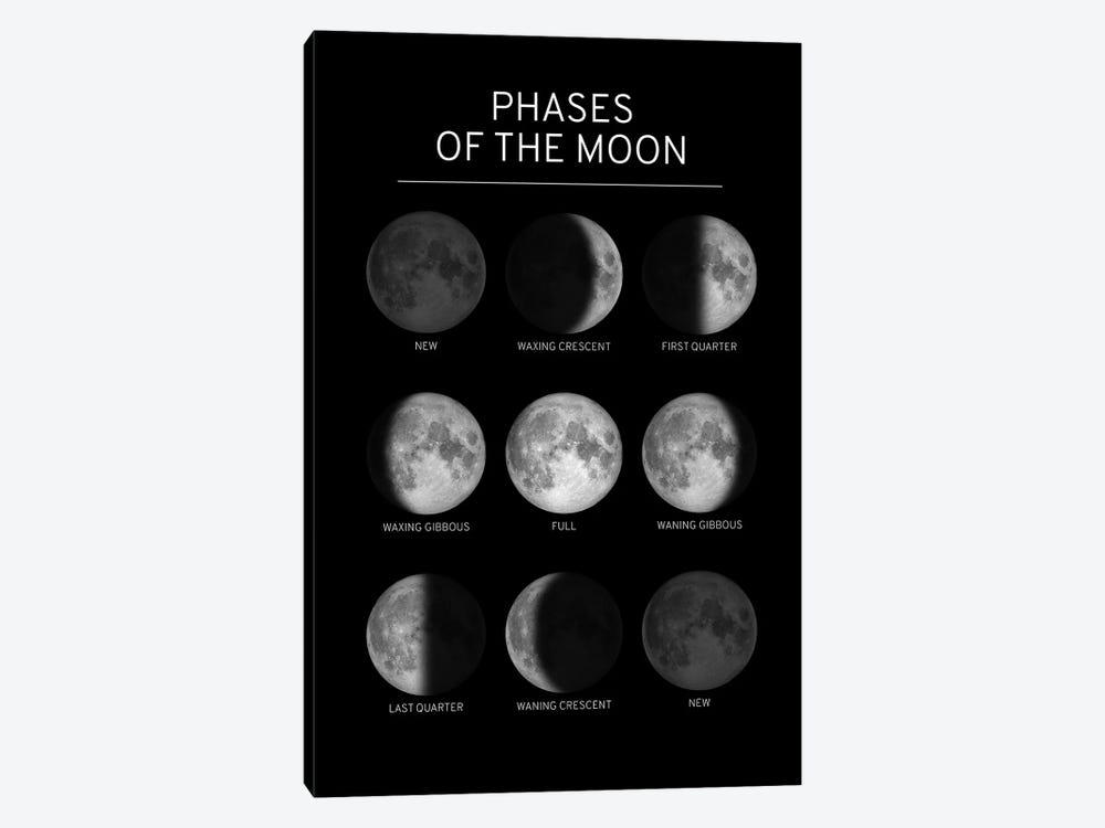 Phases of the Moon Chart - Black by GetYourNerdOn 1-piece Canvas Art Print
