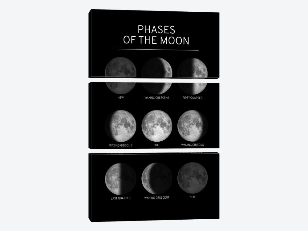 Phases of the Moon Chart - Black by GetYourNerdOn 3-piece Canvas Print