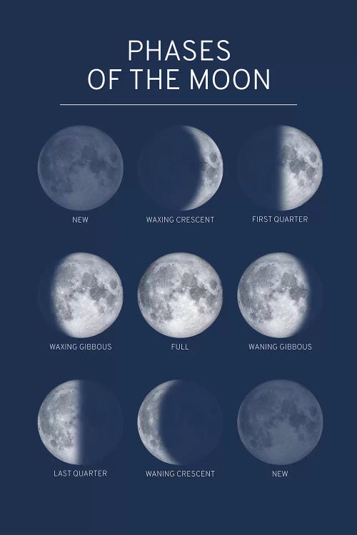 Phases of the Moon Chart - Blue Canvas Wall Art by GetYourNerdOn | iCanvas