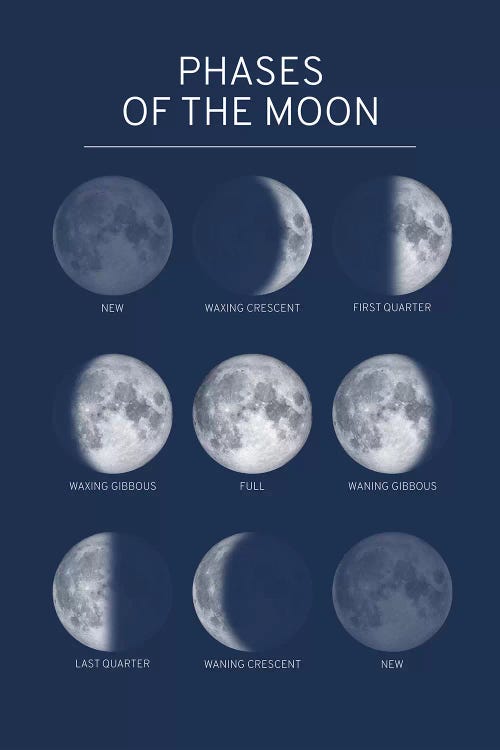 Phases of the Moon Chart - Blue