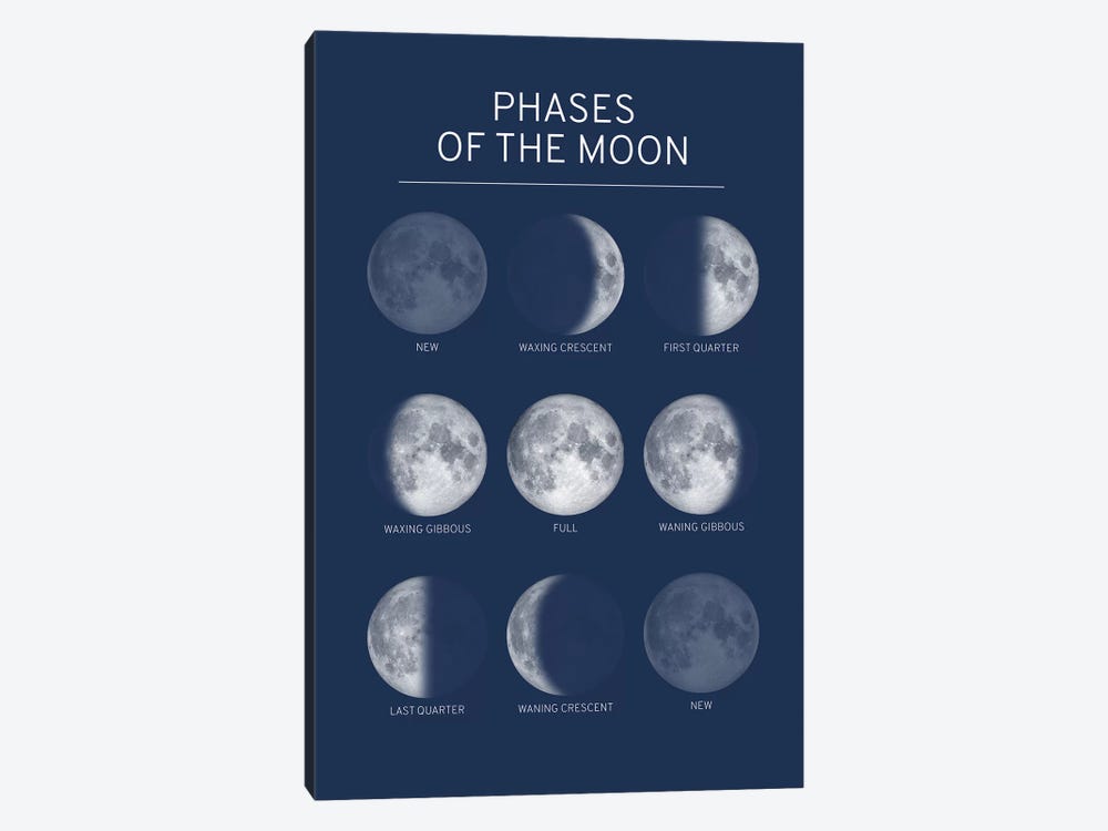 Phases of the Moon Chart - Blue by GetYourNerdOn 1-piece Canvas Wall Art