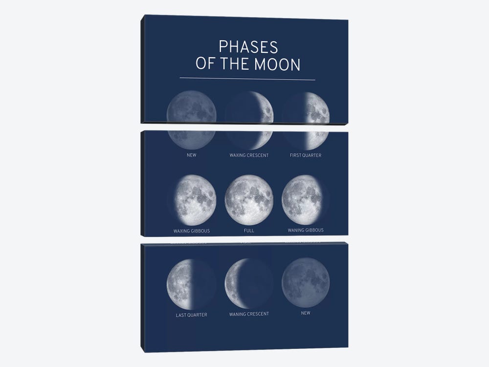 Phases of the Moon Chart - Blue by GetYourNerdOn 3-piece Canvas Wall Art